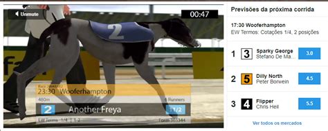 assistir corridas de galgos ao vivo.